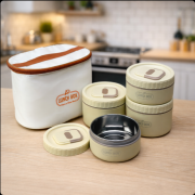 Premium Insulated Lunch Box Set with Thermal Carry Bag- 4 Layer | Stainless Steel Food Container for Office, School & Travel