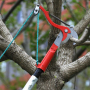 Red Double-Wheel High Branch